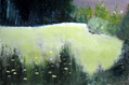  Niityllä   38 x 57