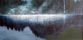 Usva 70 x 130