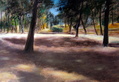 Borghesen puisto 52 x 72
