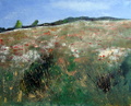 Kesän voitto 40 x 50