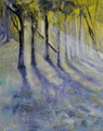 Valaistu 50 x 40