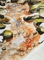 Lorisee sittenkin 23 x 18 akvarelli v.2022