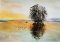 Saareke 20 x 30 akryyli v. 2022