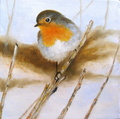 Punarinta 20 x 20