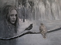 Sijainen/kollaasi 45 x 60