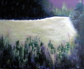 Yö niityllä   50 x 61